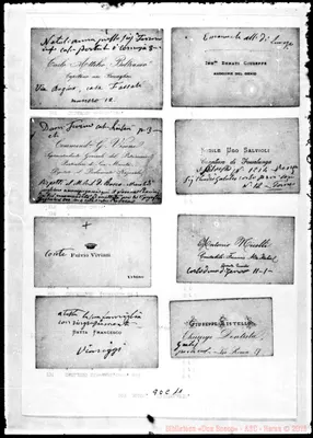 Fotogramma C 11