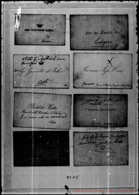 Fotogramma D 5