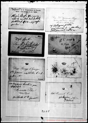 Fotogramma D 8