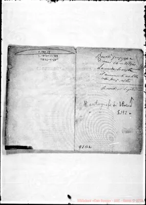 Fotogramma B 2