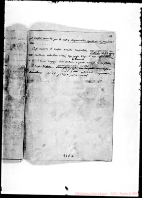 Fotogramma C 1