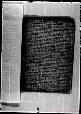 Fotogramma D 6