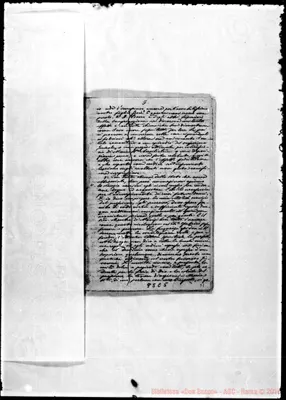 Fotogramma C 5