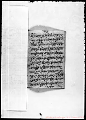 Fotogramma D 9