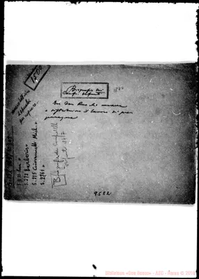 Fotogramma E 2