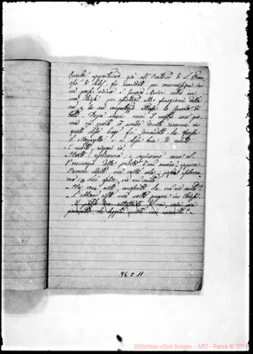 Fotogramma C 11