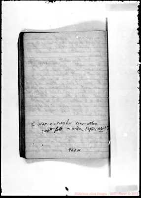 Fotogramma D 11