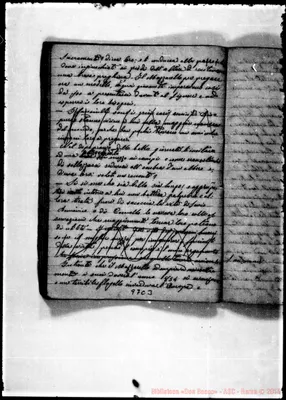 Fotogramma C 3