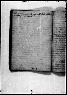 Fotogramma C 5