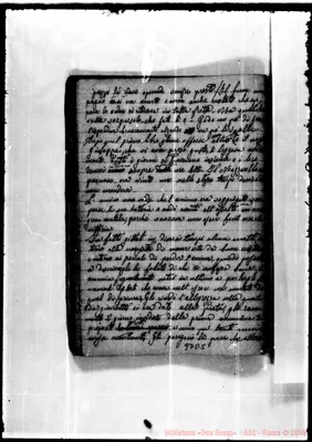 Fotogramma D 5