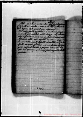 Fotogramma D 7