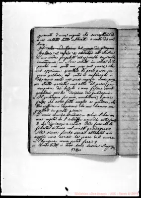 Fotogramma E 10