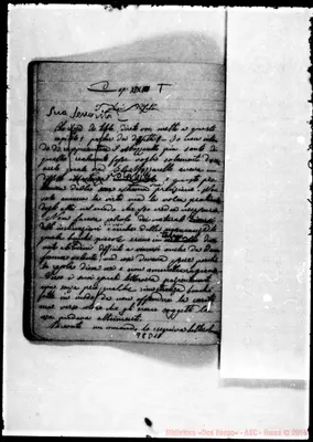 Fotogramma D 11