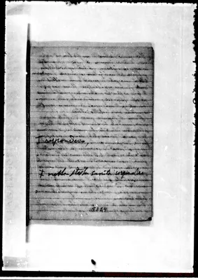 Fotogramma E 4