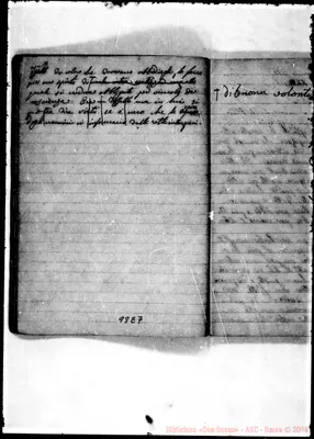 Fotogramma E 7