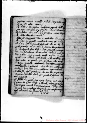 Fotogramma E 11