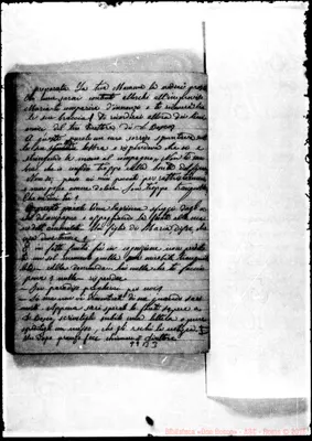 Fotogramma B 3