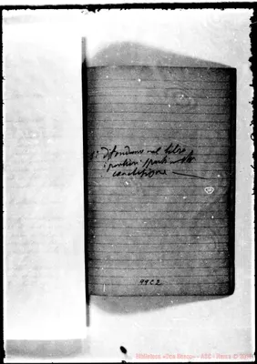 Fotogramma C 2