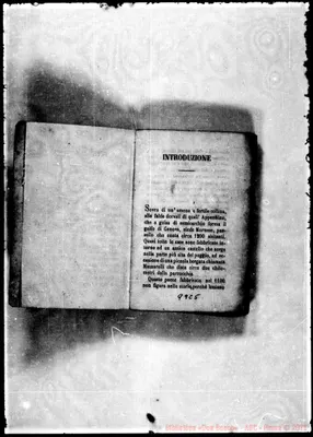 Fotogramma C 5