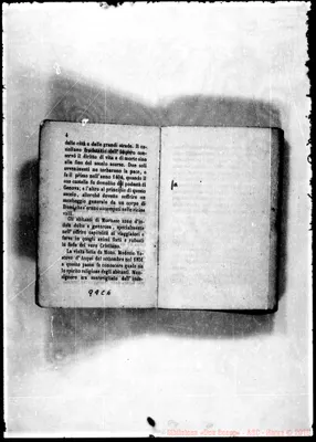 Fotogramma C 6