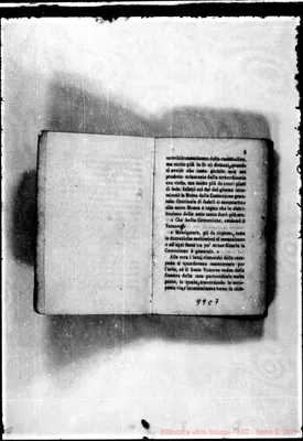 Fotogramma C 7