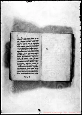 Fotogramma C 8