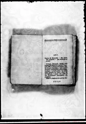 Fotogramma C 10