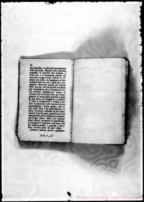 Fotogramma C 11