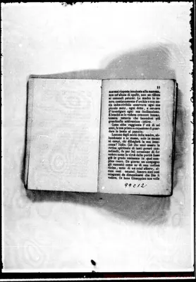 Fotogramma C 12