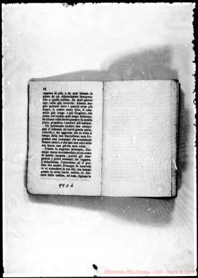 Fotogramma D 1