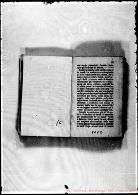 Fotogramma D 2