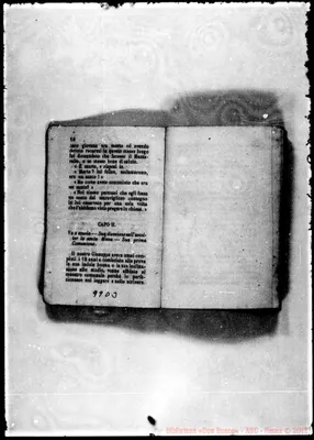 Fotogramma D 3