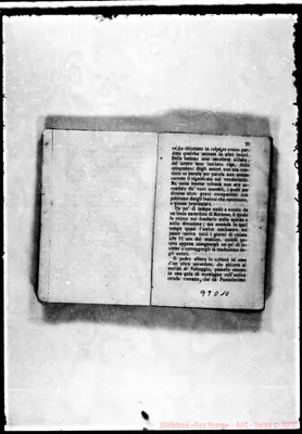 Fotogramma D 10