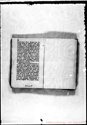 Fotogramma D 11
