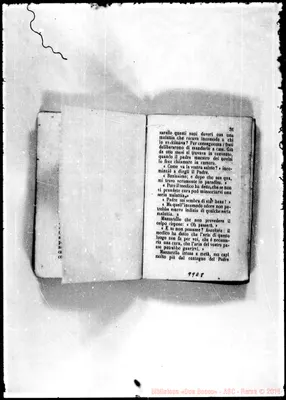 Fotogramma E 8