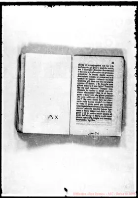 Fotogramma B 4