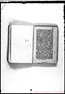 Fotogramma C 6