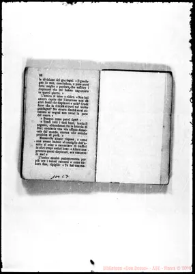 Fotogramma C 7