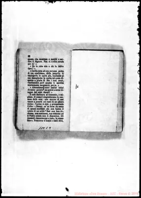 Fotogramma C 9