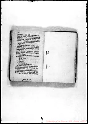 Fotogramma C 11