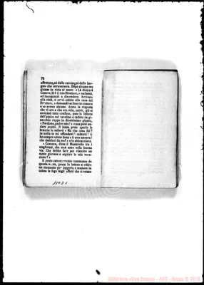 Fotogramma D 1