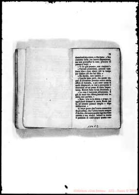Fotogramma D 2