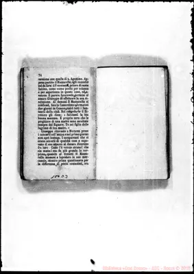 Fotogramma D 3