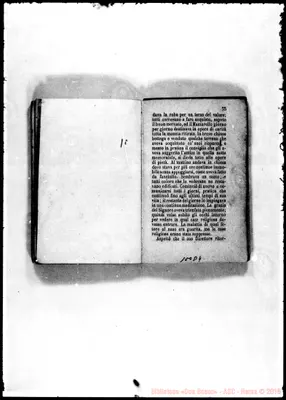 Fotogramma D 4
