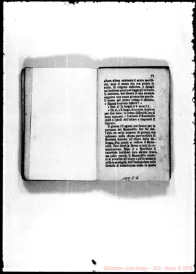 Fotogramma D 6