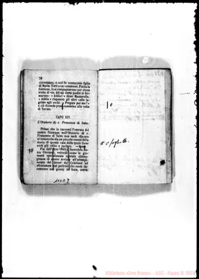 Fotogramma D 7