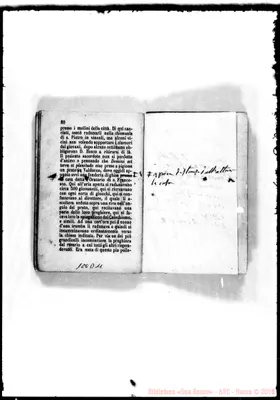 Fotogramma D 11
