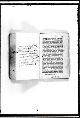 Fotogramma D 12