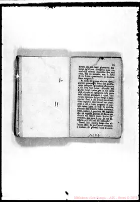 Fotogramma E 4