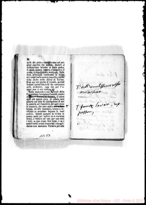 Fotogramma E 7